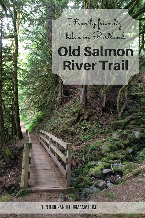 Old Salmon River Trail: Family friendly hike near Portland | Hikes near ...