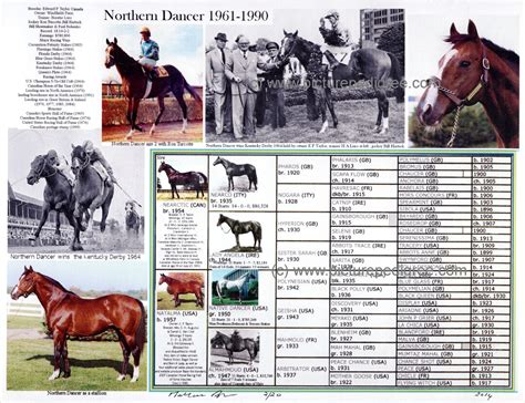 Horse Racing NORTHERN DANCER Picture Pedigree Ronturcotte Bill - Etsy