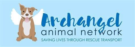 Archangel Animal Network + Garland Animal Shelter dogs to Midwest 7/20 ...