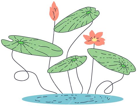 Premium Vector | A drawing of a lotus flower in a pond.