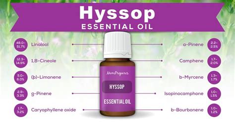 Hyssop Essential Oil – The Complete Uses and Benefits Guide | Hyssop ...