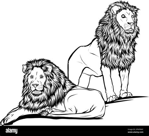 Lion clipart Black and White Stock Photos & Images - Alamy