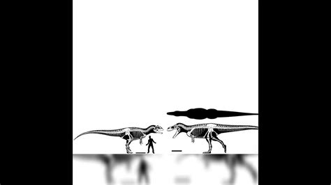 Allosaurus And Megalosaurus Size Comparison - YouTube