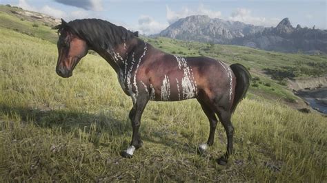 Warped Brindle Arabian Horse Location - Red Dead Redemption 2 (RDR2 ...