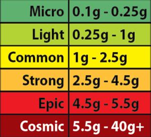 Standard Magic Mushroom Guide (0.5g – 4g) – Church of Ambrosia