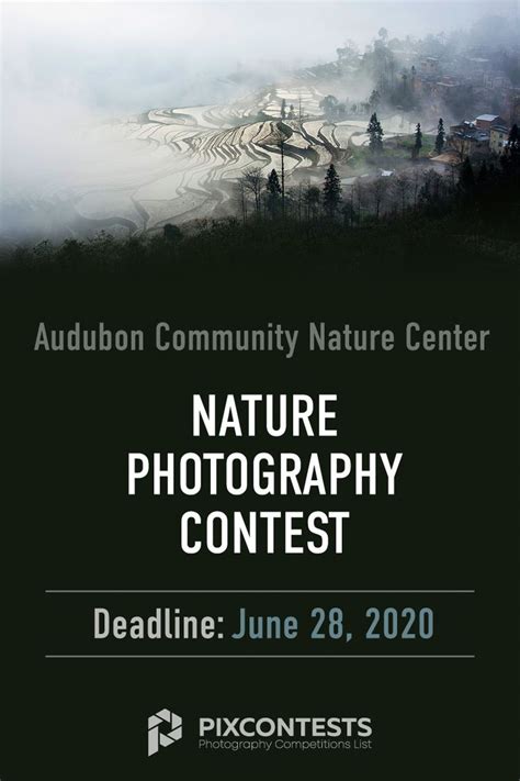 Nature Photography Contest by Audubon Community Nature Center ...