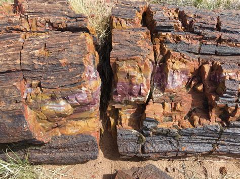 Visiting Petrified Forest National Park - Restless Curiosity