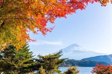 Premium Photo | Lake kawaguchi and mount fuji in autumn