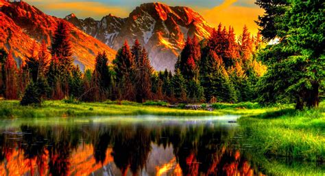 Download 4k Nature At Golden Hour Wallpaper | Wallpapers.com