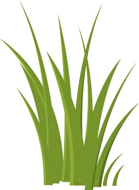 Cartoon grass leaves clip art 21612237 PNG