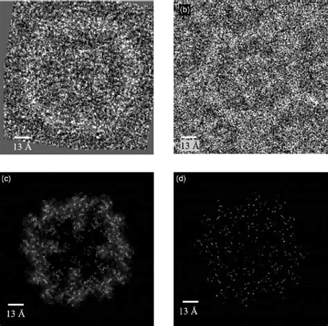 (a) Simulated defocused image of apoferritin structure embedded in ...