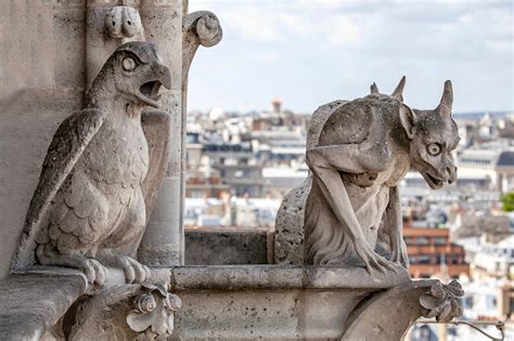 Notre Dame Cathedral Gargoyles Drawing