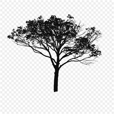 Tree Vector Black And White, Tree Vector Clipart, Tree Clipart, Tree ...