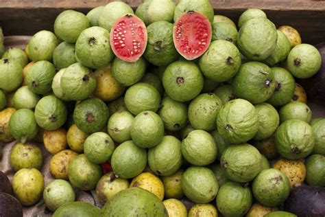 A Guide to the Tropical Fruits of Costa Rica