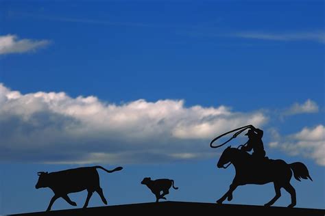 Silhouette Of A Rancher Roping Cattle Photograph by Carson Ganci | Fine ...