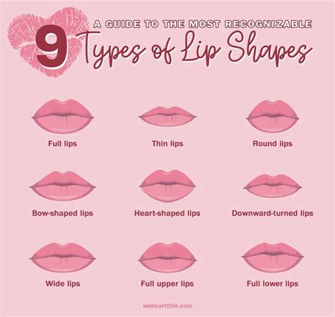 9 Different Types of Lips: How to Enhance and Take Care of Them