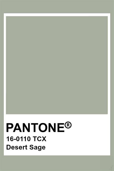 Pantone Desert Sage | Salbei farbpalette, Wandfarbe farbtöne, Grüne ...