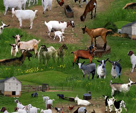 ES-Farm Animals 359 Green - Goats