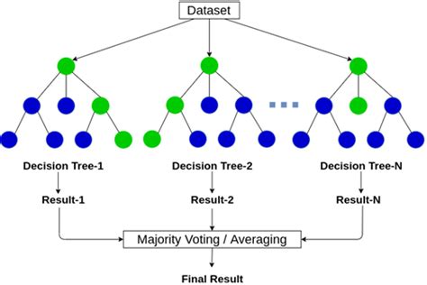 Diagrammatic representation of a random forest (for further details ...