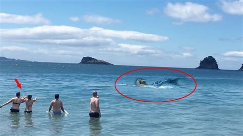 7 Real Life Mermaid Sightings Caught On Camera #2 - Clip.FAIL