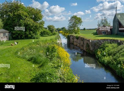 Louth Canal at Alvingham Stock Photo - Alamy