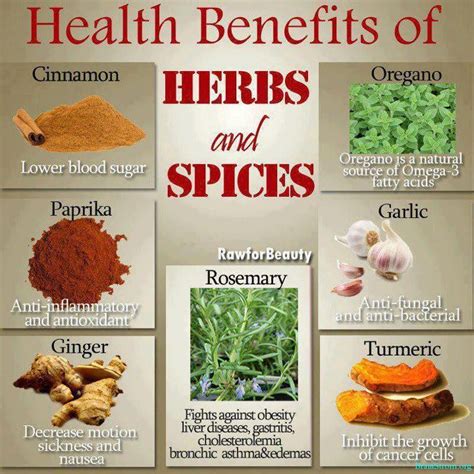 Health Benefits of HERBS & Spices - BrainStrom