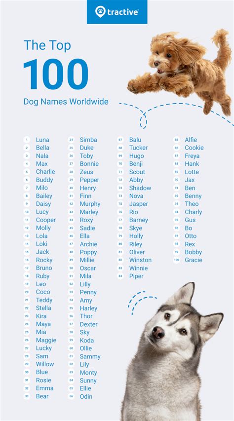 A Good Dog Names