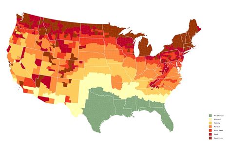 Fall Foliage Map 2024 Usa - Cal Kellia