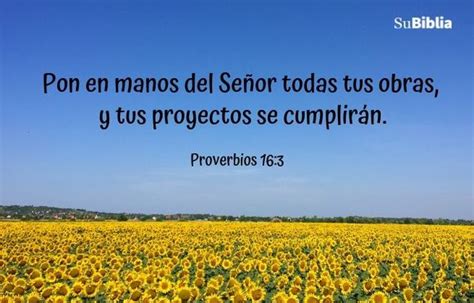 111 versículos bíblicos con imágenes para compartir - Biblia