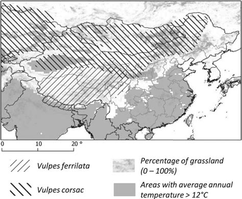 Distribution of fox species. The distribution of the red fox covers the ...