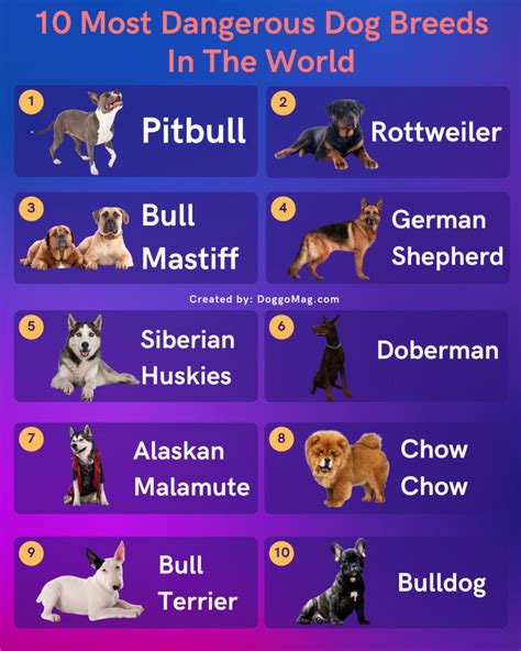 Top 10 Dangerous Dog Breeds In The World 2022 - Infoupdate.org