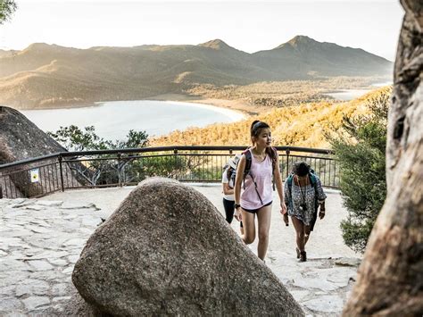 Freycinet National Park | Nature and wildlife | Discover Tasmania