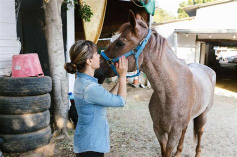 Equine Therapy For Mental Health: Types, Benefits, & More!