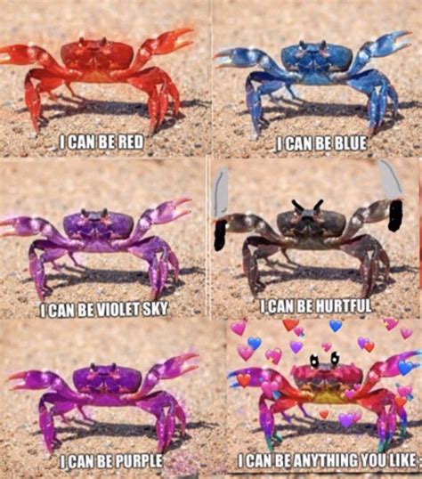 Crab meme : r/crab