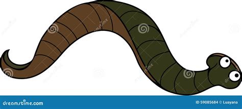 Leech stock vector. Illustration of cartoon, nature, sucker - 59085684