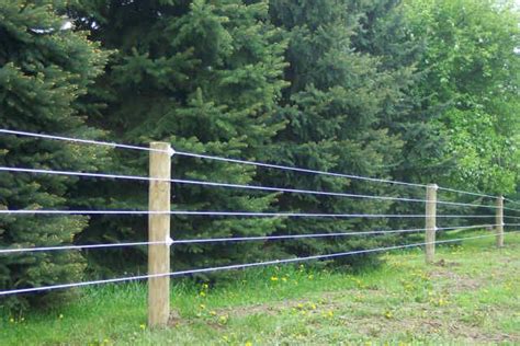 Fencing Livestock 101 | Pasture fencing, Wire fence, Livestock fence