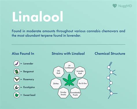 What Is Linalool? (Benefits, Effects, Strains) | NuggMD