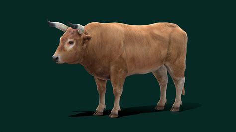 Ox Bull Animal (Low Poly) - Buy Royalty Free 3D model by ...