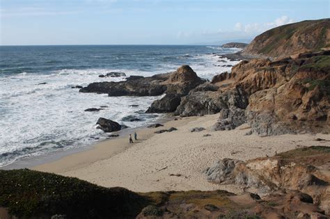 Bodega Head Beach, Bodega Bay, CA - California Beaches