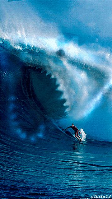 Free Surfing Wallpaper and Screensavers - WallpaperSafari