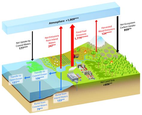 What is the Carbon Cycle? What is the science behind it? | United ...