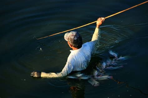 Survival Fishing: How To Catch A Fish Without A Fishing Pole | Prepper ...