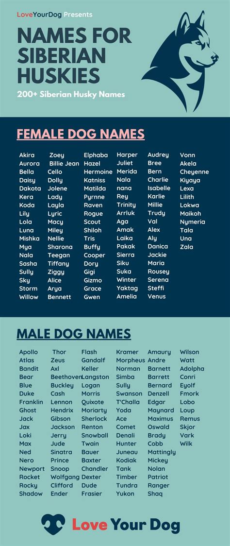 Siberian Husky Dog Names: 200 Different Male & Female Names | Husky ...