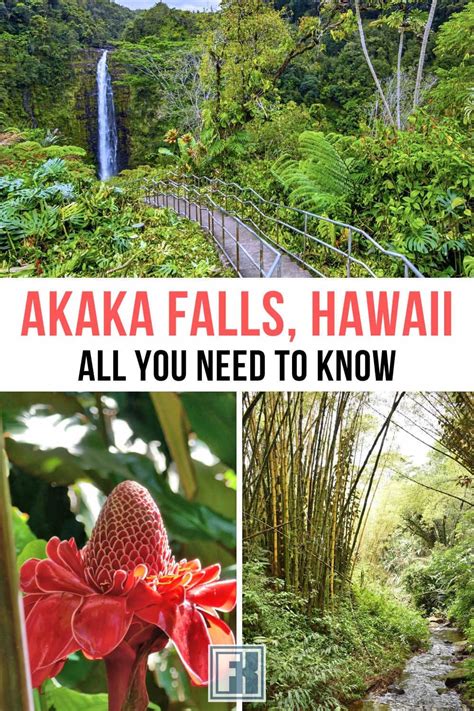 Exploring Akaka Falls Hike On The Big Island - Forever Karen