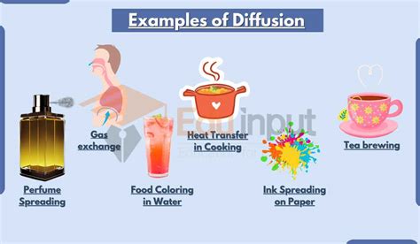 Diffusion Examples-18 Everyday Diffusion Demonstrations