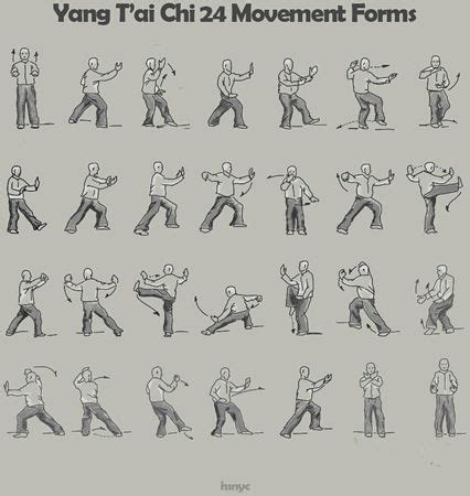 Tai Chi 24 Form Yang Style - BenqoRiddle