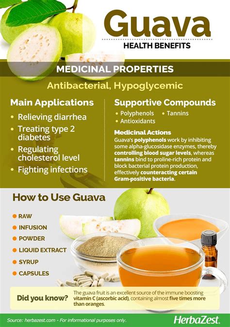 Pin by Izumi X on infographic | Guava benefits, Guava health benefits ...