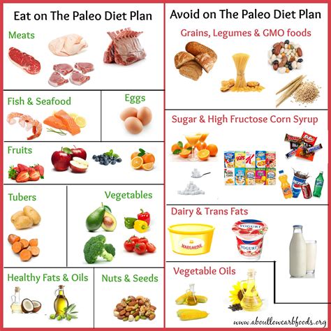 Paleo Diet Plan