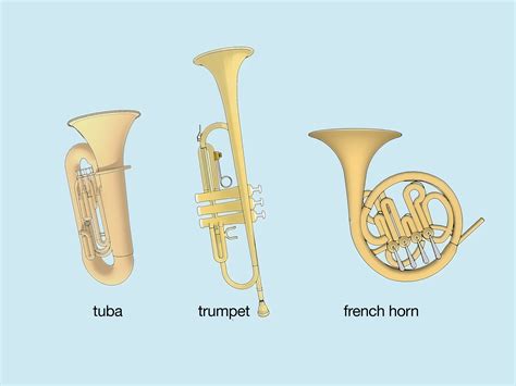 Euphonium vs. Baritone: Size, Sound, & Shape