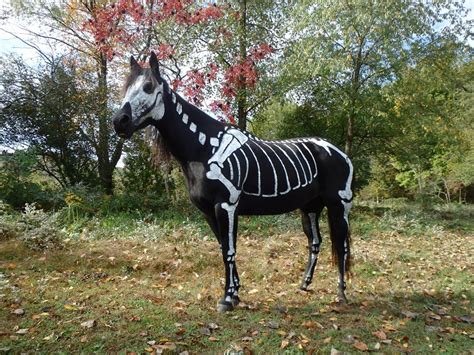 This Horse Wins Halloween » TwistedSifter